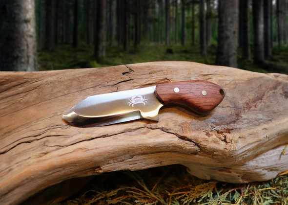Little Baddy Backup EDC Fixed Blade Knife, Bubinga Hardwood Handle, 1095 High Carbon Steel, Handmade