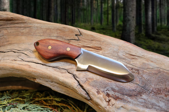 Little Baddy Backup EDC Fixed Blade Knife, Bubinga Hardwood Handle, 1095 High Carbon Steel, Handmade