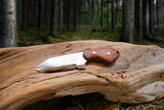 Little Baddy Backup EDC Fixed Blade Knife, Bubinga Hardwood Handle, 1095 High Carbon Steel, Handmade
