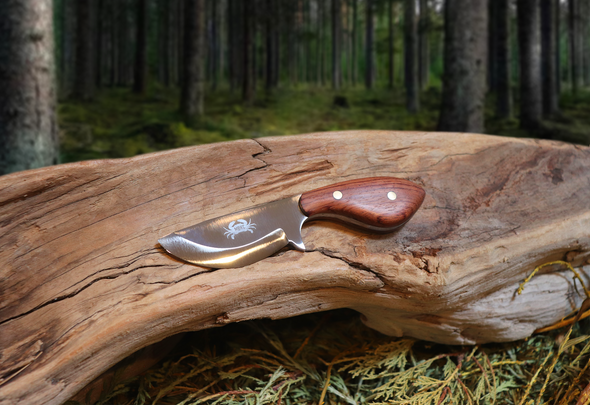 Little Big Belly, EDC Fixed Blade Knife, Bubinga Hardwood Handle, 1095 High Carbon Steel, Handmade