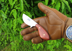 Little Big Belly, EDC Fixed Blade Knife, Bubinga Hardwood Handle, 1095 High Carbon Steel, Handmade