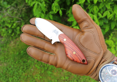 Little Orca, EDC Fixed Blade Knife, Bubinga hardwood Handle, 1095 High Carbon Steel, Handmade