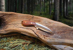 Pocket Talon EDC Fixed Blade Knife, Bubinga Hardwood Handle, 1095 High Carbon Steel, Handmade