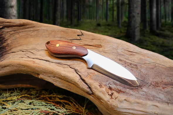Pocket Talon EDC Fixed Blade Knife, Bubinga Hardwood Handle, 1095 High Carbon Steel, Handmade