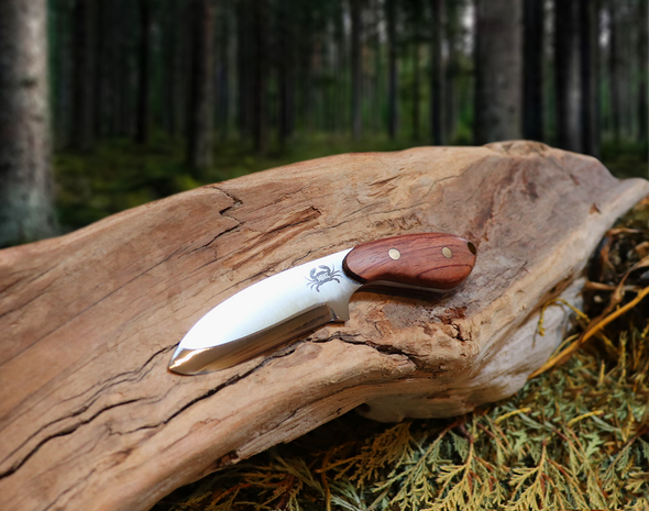 Pocket Talon EDC Fixed Blade Knife, Bubinga Hardwood Handle, 1095 High Carbon Steel, Handmade